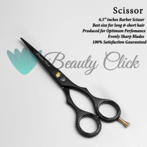 Professional Personal Barber Kit